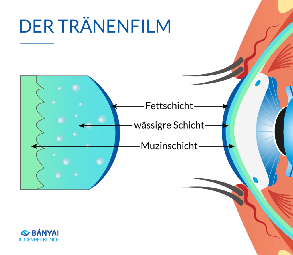 Wie der Tränenfilm das Auge schützt - Banyai Augenheilkunde